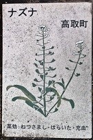 ���撬�ʐ���