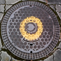 �ޗǌ��}���z�[��