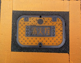 ���C�s���ΐ�