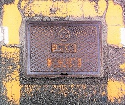 ���C�s���ΐ�