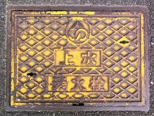 ���C�s���ΐ�