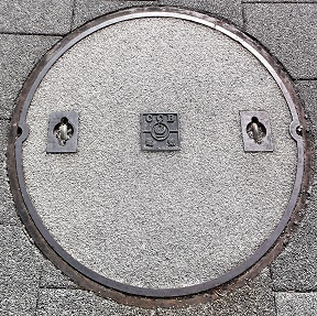 ���y��ʏȋ����a