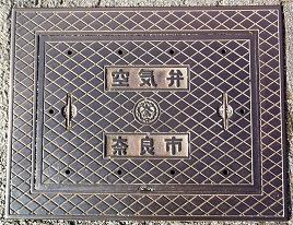 �ޗǎs��C��