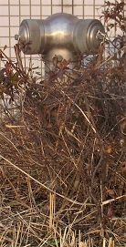 �}����s������