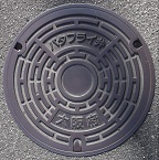 ���{�o�^�t���C��