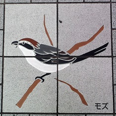 �����s�Δ�