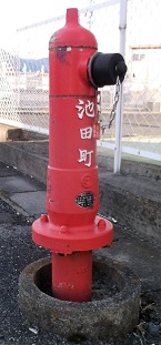 �r�c�����̏��ΐ�