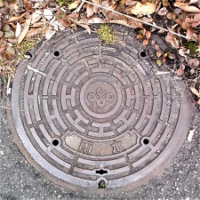 ���{�}���z�[��