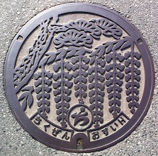 �}�O���}���z�[��