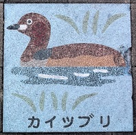 �O�����Δ�