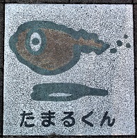 �O�����Δ�