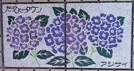 ��_�s�����ҁ[�^�E������