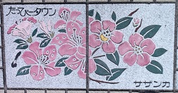 ��_�s�����ҁ[�^�E������