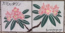 ��_�s�����ҁ[�^�E������