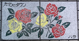 ��_�s�����ҁ[�^�E������