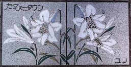 ��_�s�����ҁ[�^�E������