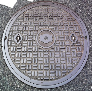 �֐��d�̓}���z�[��