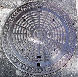 �L���s�}���z�[��