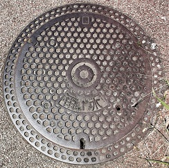 �L���s�}���z�[��