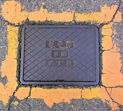 �L���s���ΐ�