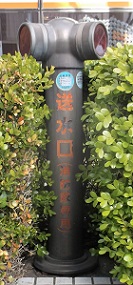 �L���s������