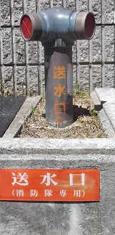 �L���s������