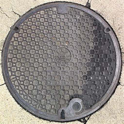 ���Ɍ������a