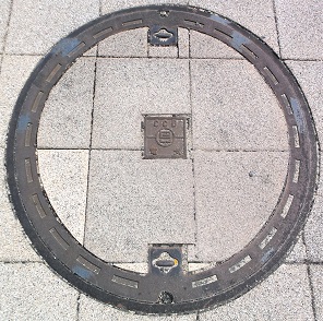 ���Ɍ������a