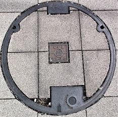 ���Ɍ������a