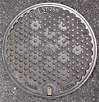 ���{�s�}���z�[��