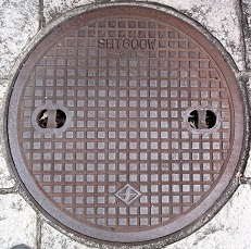 ���{�s�}���z�[��