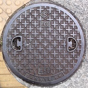 ���{�s�}���z�[��