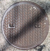 ���{�s�}���z�[��