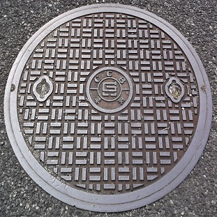 ���Ɍ������a