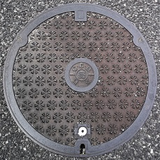 ���Ɍ������a