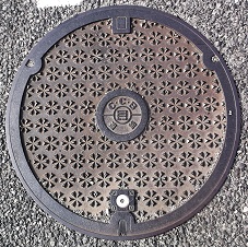 ���Ɍ������a