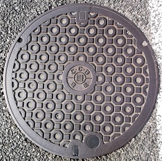 ���Ɍ������a