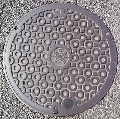 ���Ɍ������a