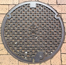 ���Ɍ������a