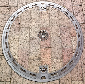 ���Ɍ������a