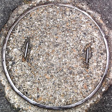 ���{�s�}���z�[��