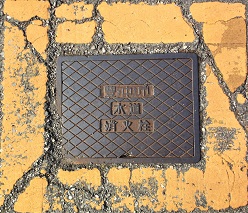 �L���s���ΐ�