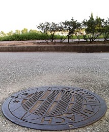 ���{�}���z�[��