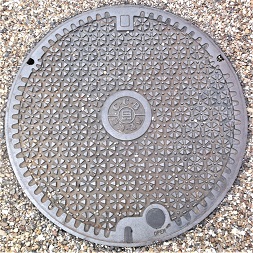 ���Ɍ������a