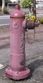 ����s���̏��ΐ�