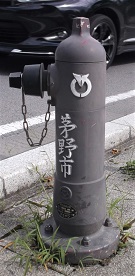 ����s���̏��ΐ�