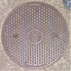 �o�t���h�ΐ���