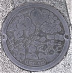 �Θa���}���z�[��