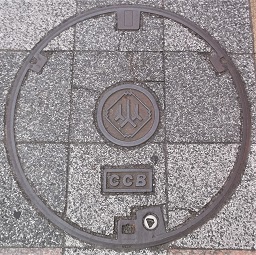 �R���������a