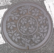 �b�{�s�}���z�[��